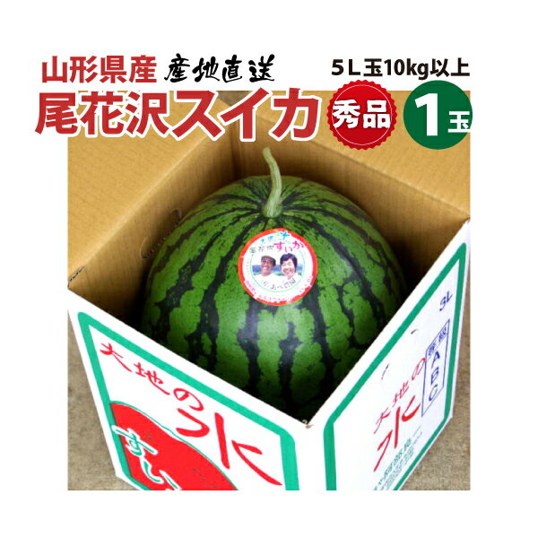 すいか 送料無料 訳あり スイカ 大玉すいか 1玉 約4.5kg〜6kg M〜L 熊本すいか お供え お取り寄せ お取り寄せグルメ 熊本県産 すいか 西瓜 フルーツ