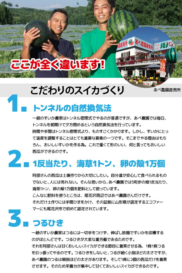 【7月下旬～】尾花沢スイカ 山形県 秀品 Lサイズ 6〜7kg 【7月下旬～順次発送】