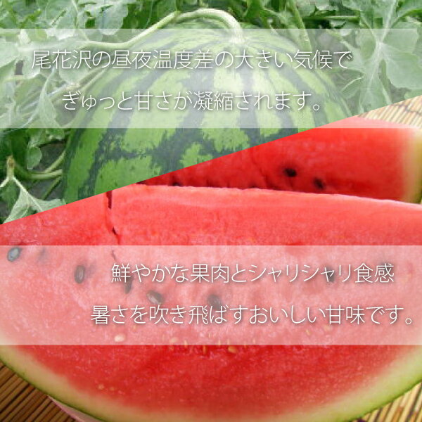 【7月下旬～】尾花沢スイカ 山形県 秀品 Lサイズ 6〜7kg 【7月下旬～順次発送】