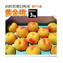 【訳あり】【8月下旬〜順次発送】 黄金桃 山形県 朝日町産 3kg