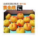 【訳あり】【8月下旬〜順次発送】 黄金桃 山形県 朝日町産 5kg