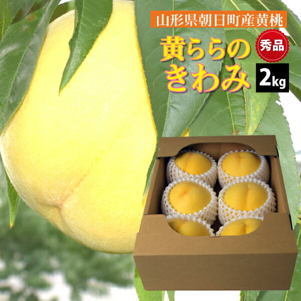 【9月中旬～順次発送】黄ららのきわみ 山形県 朝日町産 秀品 2kg