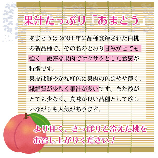 【訳あり】【7月下旬～順次発送】白桃 あまとう 山形県 朝日町産 2kg