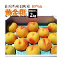 【訳あり】【8月下旬~順次発送】黄金桃 山形県 朝日町産 2kg
