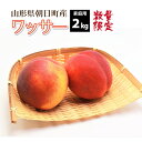 【訳あり】【8月中旬~順次発送】桃 ワッサー 山形県 朝日町産 2kg