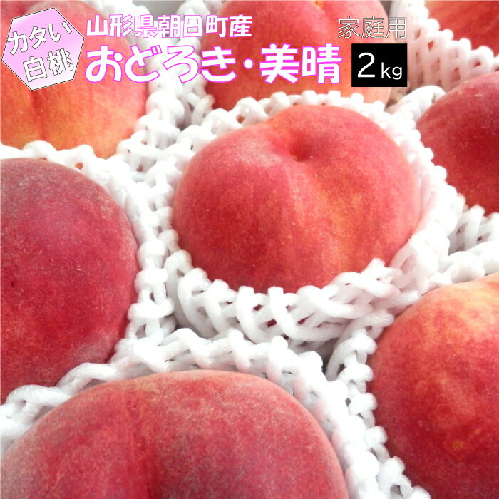 【訳あり】【8月下旬～順次発送】白桃 硬い桃 おどろき 美晴 山形県 朝日町産 2kg