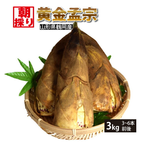 月山竹 1kg 山形県産/クール便