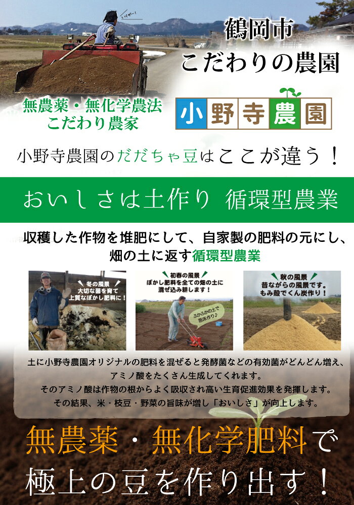 7月下旬～ だだちゃ豆 有機栽培 2kg 500g×4 山形県 鶴岡市産 7月下旬～9月上旬 順...