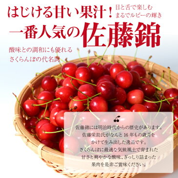 【2020年先行予約】【山形県東根産 特秀品】さくらんぼ 佐藤錦 Lサイズ以上 バラ詰め 600g 送料無料 産地直送 ご注文順に6月下旬〜順次発送 地理的表示認定第30号