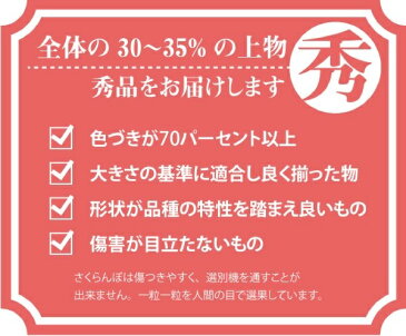 【2020年先行予約】【山形県東根産 特秀品】さくらんぼ 紅秀峰 Lサイズ以上 バラ詰め 1kg 送料無料 産地直送 6月下旬から発送 地理的表示認定第30号