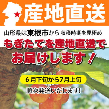 【2020年先行予約】【山形県東根産 特秀品】さくらんぼ 紅秀峰 Lサイズ以上 バラ詰め 600g 送料無料 産地直送 6月下旬から発送 地理的表示認定第30号