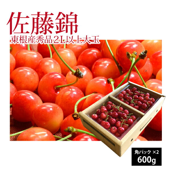 6月中旬～さくらんぼ 佐藤錦 秀品 2L以上 大玉 600g(角カップ300g×2) クール便 山形県 東根市産 GI 6月中旬～6月下旬…