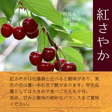 【2020年先行予約】【山形県東根産 秀品】さくらんぼ 紅さやか Mクラス以上 バラ詰め 1kg 送料無料 産地直送 ご注文順に6月上旬〜6月下旬　順次発送