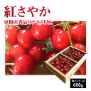 6月上旬〜さくらんぼ 紅さやか 秀品 Mクラス以上 600g(角カップ300g×2) クール便 山形県 東根市産 6月上旬～6月下旬 順次発送