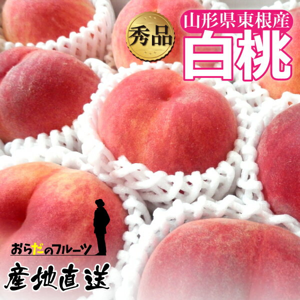 桃 白桃 3kg 秀品 12〜15玉 クール便 山形県 東根市産 品種おまかせ 8月上旬～9月中旬 順次発送