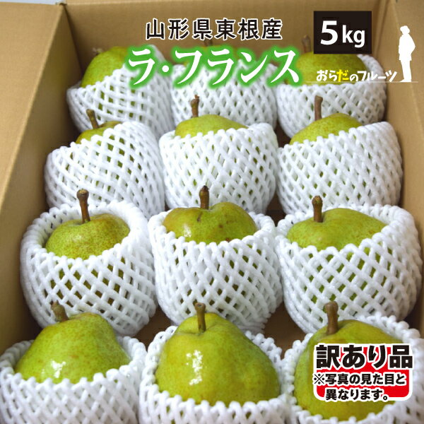【訳あり】10月下旬〜 ラ・フランス 5kg Mサイズ以上(玉数おまかせ)山形県東根産 10月下旬〜12月下旬 順次発送