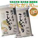 【福井県産 玄米】令和元年度 コシヒカリ：10kg(5kg×2) 2等米 農薬節減栽培 色彩選別機 フレッシュ真空パック　福井県認定エコファーマー　食味鑑定士のお墨付き！ 送料無料！（沖縄・離島を除く)