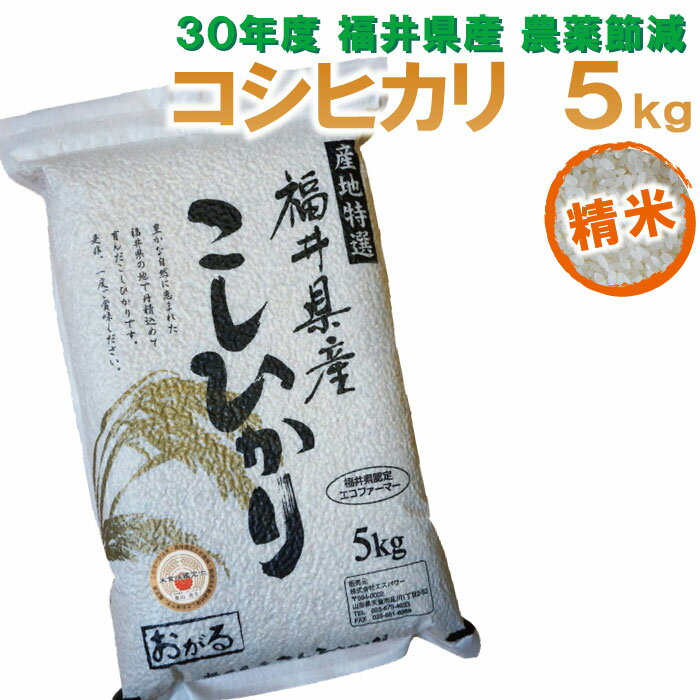 【福井県産 精米】30年度 コシヒカリ：5kg 特別栽培米 農薬節減・化学肥料未使用 色彩選別機 フレッシュ真空パック　福井県認定エコファーマー　食味鑑定士のお墨付き！ 送料無料！（沖縄・離島を除く)