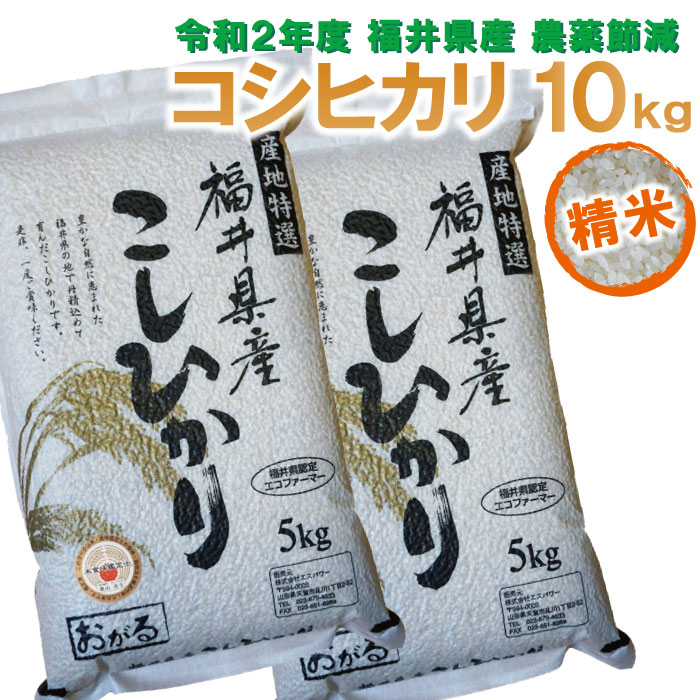 【スーパーセール10%OFF】【福井県産 精米】令和2年度 コシヒカリ：10kg(5...