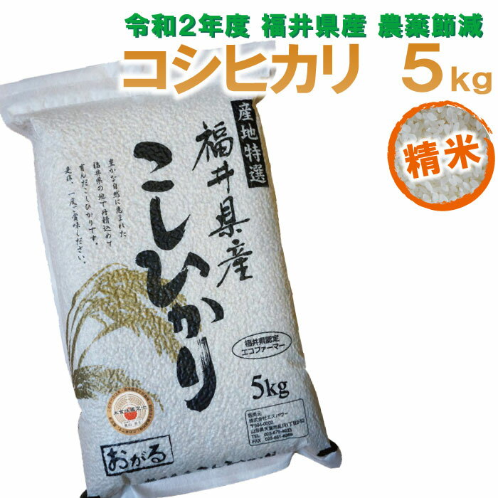 【スーパーセール10%OFF】【福井県産 精米】令和2年度 コシヒカリ：5kg 農薬...