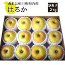 【訳あり】12月上旬〜 和合りんご はるか 2kg 無袋 山形県朝日町和合産 12月上旬〜12月中旬 順次発送