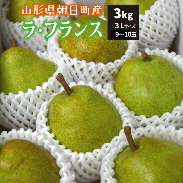 【秀品】10月下旬～ ラ・フランス 3kg 3Lサイズ 9～10玉 山形県朝日町産 10月下旬～12月下旬 順次発送