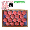 【訳あり】【8月上旬〜順次発送】 白桃 8〜14玉 3kg 山形県 朝日町産 8月上旬〜9月中旬 順次発送 もも はくとう