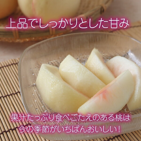 【8月上旬～順次発送】桃 白桃 2kg 秀品 5〜7玉 クール 冷蔵 山形県 東根市産 品種...
