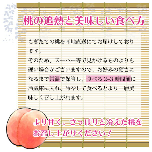 【訳あり】【7月下旬～順次発送】白桃 あまとう 山形県 朝日町産 2kg