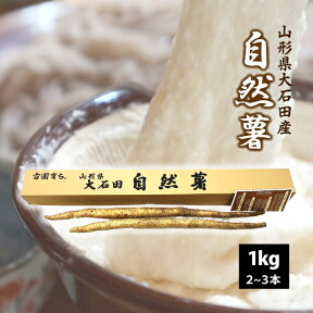 自然薯（やまのいも） 山形県 大石田産 1kg