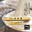 自然薯(やまのいも)山形県 大石田産 2kg