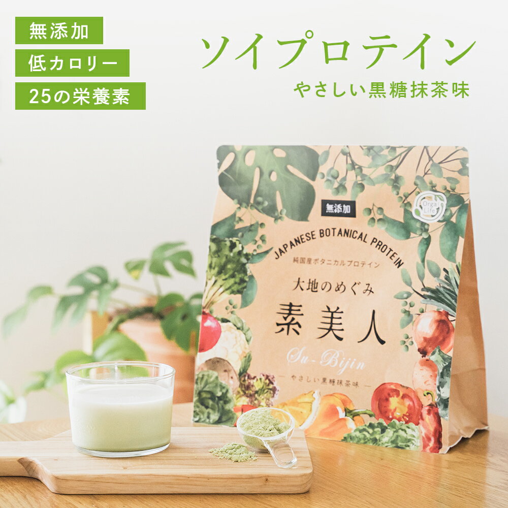 ソイプロテイン 黒糖抹茶味 大地のめぐみ素美人 250g 国産 プロテイン 完全食 人工甘味料不使用 無添加 美容 砂糖不使用 置き換え オーガニック 女性 スーパーフード タンパク質 たんぱく質 完全栄養食 おからパウダー 大豆 抹茶 食物繊維 オリゴ糖 カルシウム