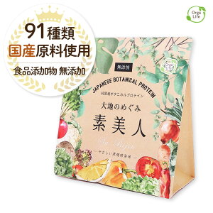 ソイプロテイン 黒糖抹茶味 大地のめぐみ素美人 250g 国産 プロテイン 完全食 人口甘味料不使用 無添加 一日一回 オーガニック 女性 スーパーフード タンパク質 たんぱく質 低糖質 おからパウダー 大豆 抹茶 食物繊維 オリゴ糖 ミネラル カルシウム 送料無料