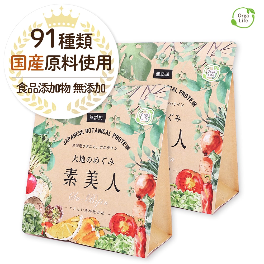 【P10倍】純国産 ソイプロテイン 完全食 大地のめぐみ 素美人 91種の厳選国産野菜使用 500g 黒糖抹茶味 プロテイン 女性 おからパウダー 大豆 抹茶 食物繊維 オリゴ糖 ミネラル カルシウム マグネシウム 食品添加物 無添加 砂糖不使用 ロカボ ボディメイク 送料無料