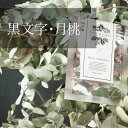 【レフィル アロールートフェイスパウダー 10g】「黒文字と月桃の香り」 / オーガニックマザーライフ(フェイスパウダー詰め替え用) / ORGANIC MOTHER LIFE オーガニックマザーライフ オーガニック化粧品 エシカル化粧品 オーガニックコスメ ファンデーション卒業