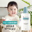 ̵ ˥å饦  300ml ٥ӡ ˥å󥱥 ڹ񥹥󥱥٥ӡ꡼ ٥ӡ ݼ ٥ӡݼ ޥ˥ƥե ڹ organic ground SQUSQU Lotion