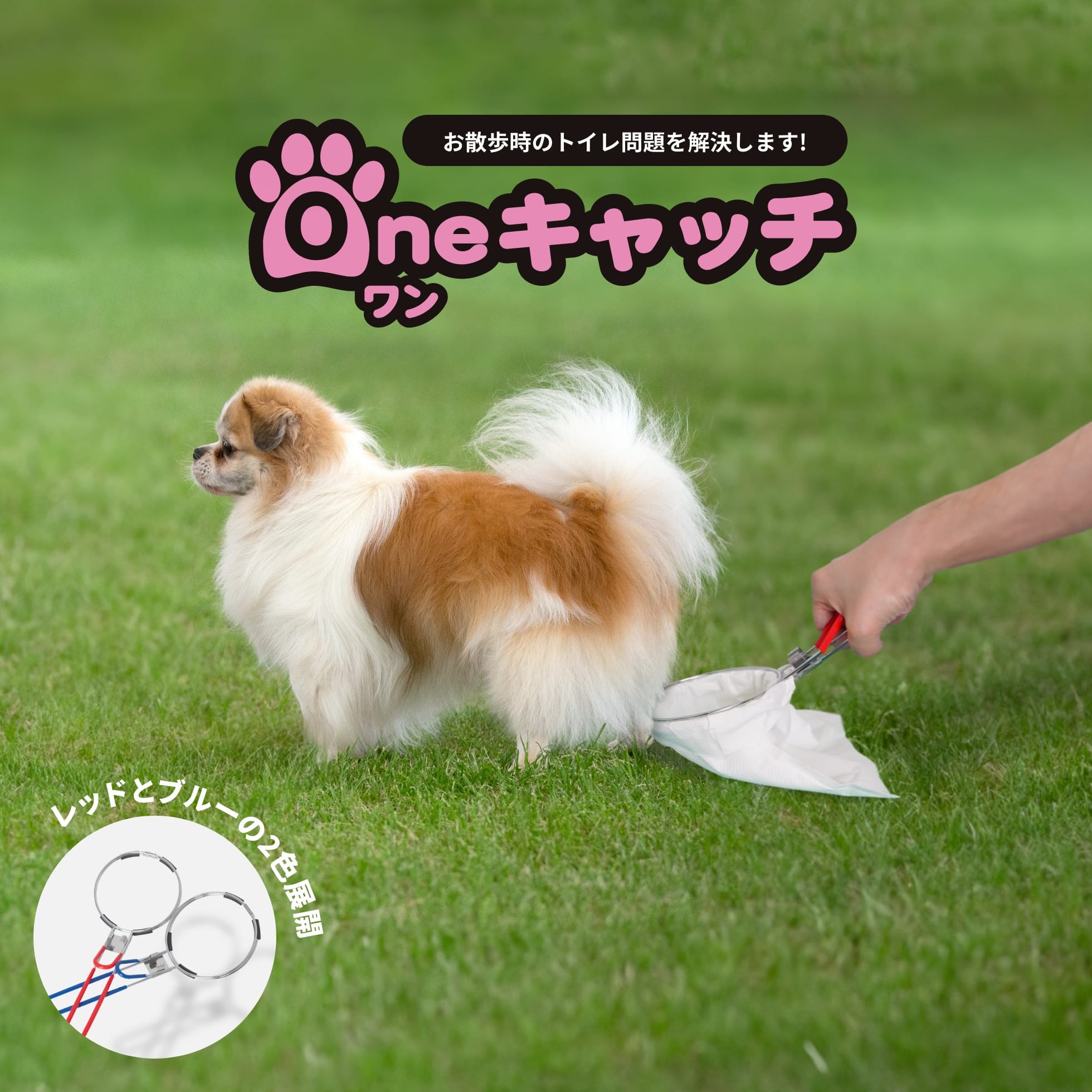 ＼愛犬のフンを落とさずキャッチ！取り外し簡単／Oneキャッチ 犬 ペット用品 犬用 フン取り フンキ ...