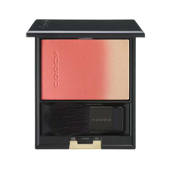 国内正規品SUQQUスックピュア カラー ブラッシュ10淡靄のサムネイル