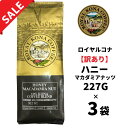 【訳あり3個】【賞味期限:2026年4月15日】ロイヤルコナ ハニーマカダミアナッツ10%コナブレンド 227g(8oz) /フレーバーコーヒー・中挽き/ハチミツとマカダミアナッツの香り