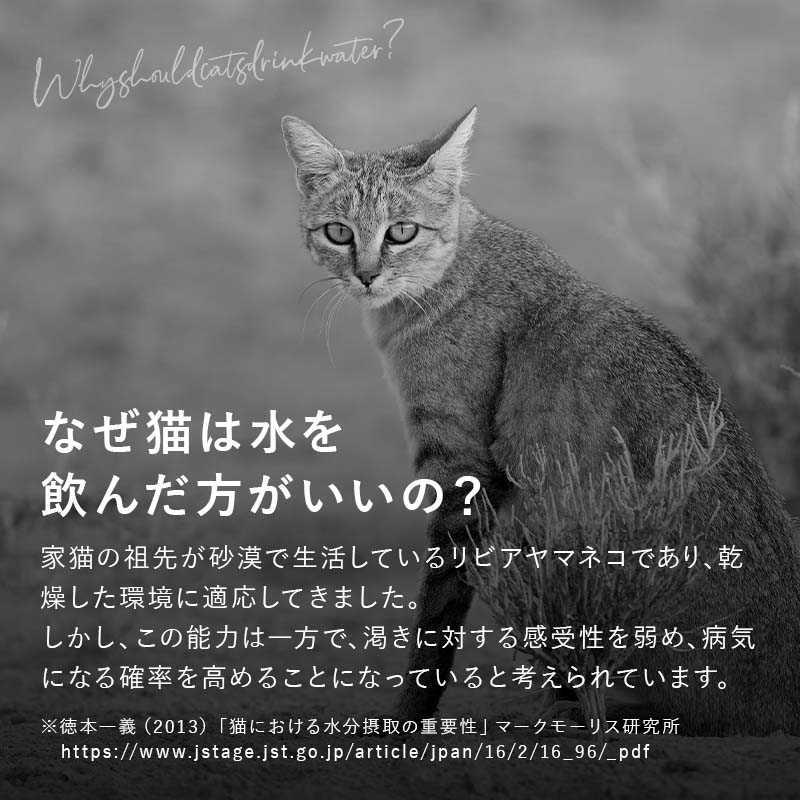 水素水 自動給水器 犬 猫 ペット用 健康 日本製 アプリ連動 水素生成器 安心1年保証 自動水やり器 自動給水器 水飲み 水素生成 腎不全 体質改善 ペット臭 センサー付き 浄水 大容量 1.5Lタンク 全自動 リビング オリエント薬品 2