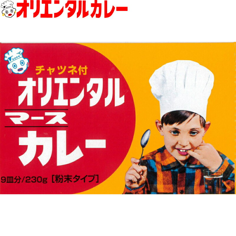 3980円以上で 送料無料 （北海道・沖縄除く） オリエンタル マース カレー 230g （9皿分）ルウ チャツネ 付き curry ルー カレーライス 昭和 レトロ 名古屋 老舗 元祖 キャンプ 惣菜 ええもん