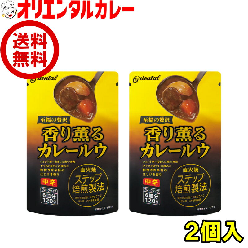 送料無料 オリエンタル 香り薫る カレー ルウ （6皿分）2個 セット カレーライス 直火焼 粉末 curry ルー キャンプ アウトドア 買い回..