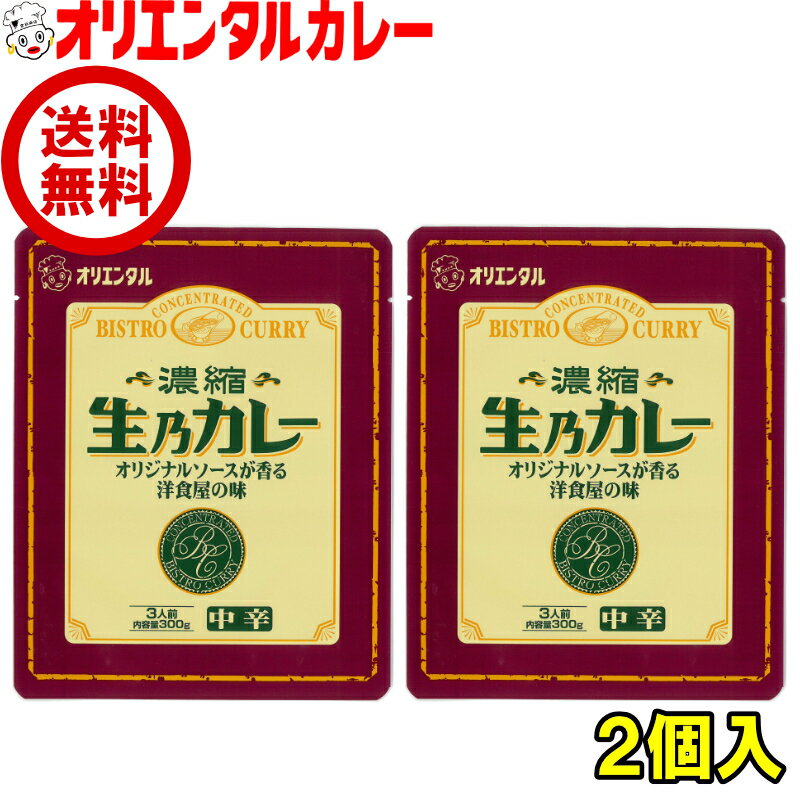 送料無料 オリエンタル 濃縮 生乃カレー ( 3人前 濃縮 カレー ソース ) 2個 セット レトルト カレーライス 生のカレー 三郎君 サブロー..