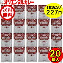 送料無料 （北海道・沖縄除く） 20食入 オリエンタル ビーフ カレー 本格 まろやか 甘口 あまくち 20食 詰め合わせ セット 業務用 レトルトカレー 保存食 備蓄 時短 簡単 買い置き 在宅 惣菜 福袋 ええもん