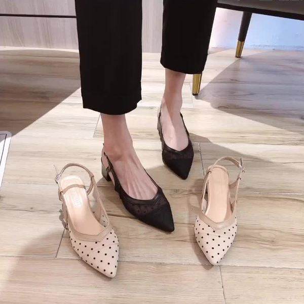 �ѥ�ץ� ������� ��ǥ����� �� ���󥯥륹�ȥ�å� ������������ ���ҡ��� �ݥ���ƥåɥȥ� ���� ��Ĺ �������롼 ���줤�� ���襤�� ����ץ� �����奢...