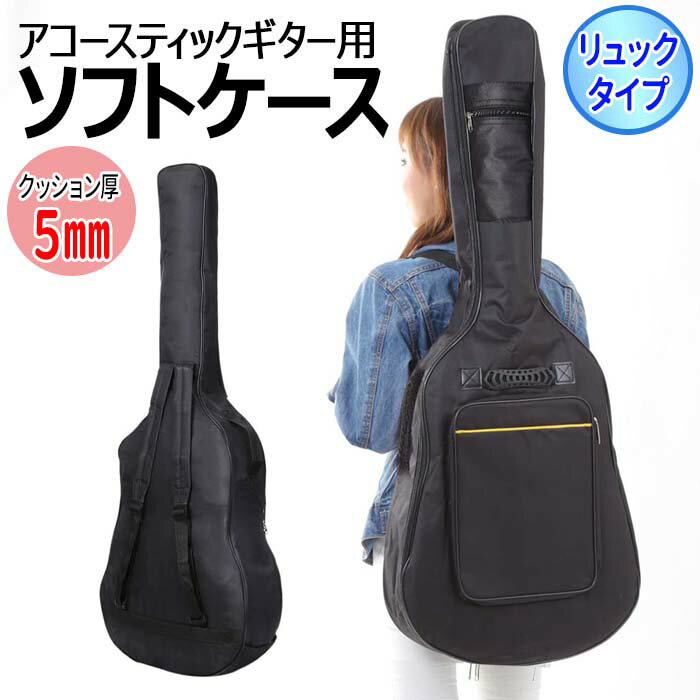 RITTER RGB4-JR for Randy V -ANT(Anthracite)- ランディ V用ギグバッグ[リッター][Case,ケース][Gray,Black,グレー,ブラック,黒][Electric Guitar,エレキギター]