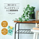 フェイクグリーン 人工観葉植物 ブ