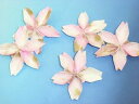 桜の舞 おりがみセット 春