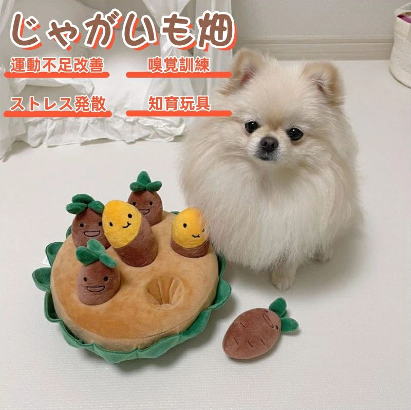 ペットの大好きなおもちゃや食べ物をきのこと土台の下に隠して嗅ぎながらターゲットを見つける同時に運動不足の問題やストレスを解消できる見た目もかわいいアイテムです。 じゃがいも畑は、ノーズワークよりワンちゃんの優れた嗅覚を活かして楽しい遊びながらゆっくり食べる習慣を身に付けるおもちゃです。愛犬が一人で楽しめるおもちゃで、離れていても寂しくなりません。 ノーズワークを通じて集中力を高め、ストレスを解消できます。 遊びに興味を弾きながら食欲不振の改善にも役たちます。食べ物へ興味をそそり、遊びの間に食べることを促進することができます。 体力が衰えてきた年配なワンちゃんや体が不自由なしょうがいのあるワンちゃんでも嗅覚さえあれば楽しめます。 元々は赤ちゃんのためにデザインされた知育おもちゃですが、それを動物たちも楽しく遊べるように改善しました。すべての製品は赤ちゃんがよく使う最高品質の素材を使用しています。 にんじんの穴に犬のお気に入りのおもちゃや食べ物を隠しておき、犬に鼻で餌を探してもらうことで、犬の運動不足を防ぐことができます。 ペットフード探しはいつも急いで食事をするワンちゃんにぴったりです。ゆっくり食べる習慣を身に付けられます。 また、飼い主とのコミュニケーションにも役に立ちます。 飼い主が留守中でも暇や体力を持て余してしまい、そこにあった洋服や毛布など家にあるもの(特に飼い主さんのにおいがついているもの)おもちゃとして噛んだり、壊れたりして心の不安を解消します。 それぞれのにんじんがコンピュータのミシン技術を使用して形が一致するように工夫しており、エコPP綿を使用してふっくらとした弾力を持たせています。韓国産ベルボア毛もしっかりと固定されています。 ▼検索関連ワード（本商品の説明ではありません）▼ サーリシ Sarlisi ペット用品 犬 おもちゃ ワンちゃん にんじん畑 にんじん畑2代 知育玩具 ペット雑貨 犬ノーズワークノーズワーク ペット おもちゃ 犬玩具 ぬいぐるみ 犬誕生日 プレゼント 噛むおもちゃ 子犬 大型犬 きしむおもちゃ 猫 犬用おもちゃ 犬用 頑丈 人参 いぬのおもちゃ 犬の訓練装置 ペットのおもちゃ 荷物の散乱防止 犬用ぬいぐるみ 犬ノーズワークおもちゃ 犬用知育玩具 ノーズワークマット 餌入れ 餌が出るおもちゃ 猫の知育玩具 人気 噛む 嗅覚訓練 運動不足 可愛い 遊び場所 早食い防止 集中力向上 8個タイプ 人参収穫 安心素材 正規品 権威認証 犬歯磨き おすすめ ランキング 受賞 激安 売れ筋 犬用おもちゃ、ペット用品、嗅覚訓練、人参、大型犬、ぬいぐるみ、運動不足、犬の訓練装置、にんじん畑、激安、子犬、可愛い、ノーズワークマット、ペット雑貨、犬ノーズワーク、おすすめ、安心素材、にんじん畑 2 代、犬誕生日、プレゼント、噛むおもちゃ、きしむおもちゃ、猫、頑丈、いぬのおもちゃ、犬玩具、ペットのおもちゃ、餌入れ、餌が出るおもちゃ、早食い防止、集中力向上、8 個タイプ、人参収穫、正規品、権威認証、犬歯磨き、ランキング、受賞、売れ筋、荷物の散乱防止、猫の知育玩具、遊び場所、知育玩具、犬用ぬいぐるみ、犬用知育玩具、犬ノーズワークおもちゃ、ワンちゃん、おもちゃ、噛む、ペットペットの大好きなおもちゃや食べ物をきのこと土台の下に隠して嗅ぎながらターゲットを見つける同時に運動不足の問題やストレスを解消できる見た目もかわいいアイテムです。 じゃがいも畑は、ノーズワークよりワンちゃんの優れた嗅覚を活かして楽しい遊びながらゆっくり食べる習慣を身に付けるおもちゃです。愛犬が一人で楽しめるおもちゃで、離れていても寂しくなりません。 ノーズワークを通じて集中力を高め、ストレスを解消できます。 遊びに興味を弾きながら食欲不振の改善にも役たちます。食べ物へ興味をそそり、遊びの間に食べることを促進することができます。 体力が衰えてきた年配なワンちゃんや体が不自由なしょうがいのあるワンちゃんでも嗅覚さえあれば楽しめます。 元々は赤ちゃんのためにデザインされた知育おもちゃですが、それを動物たちも楽しく遊べるように改善しました。すべての製品は赤ちゃんがよく使う最高品質の素材を使用しています。 にんじんの穴に犬のお気に入りのおもちゃや食べ物を隠しておき、犬に鼻で餌を探してもらうことで、犬の運動不足を防ぐことができます。 ペットフード探しはいつも急いで食事をするワンちゃんにぴったりです。ゆっくり食べる習慣を身に付けられます。 また、飼い主とのコミュニケーションにも役に立ちます。 飼い主が留守中でも暇や体力を持て余してしまい、そこにあった洋服や毛布など家にあるもの(特に飼い主さんのにおいがついているもの)おもちゃとして噛んだり、壊れたりして心の不安を解消します。 それぞれのにんじんがコンピュータのミシン技術を使用して形が一致するように工夫しており、エコPP綿を使用してふっくらとした弾力を持たせています。韓国産ベルボア毛もしっかりと固定されています。 ▼検索関連ワード（本商品の説明ではありません）▼ サーリシ Sarlisi ペット用品 犬 おもちゃ ワンちゃん にんじん畑 にんじん畑2代 知育玩具 ペット雑貨 犬ノーズワークノーズワーク ペット おもちゃ 犬玩具 ぬいぐるみ 犬誕生日 プレゼント 噛むおもちゃ 子犬 大型犬 きしむおもちゃ 猫 犬用おもちゃ 犬用 頑丈 人参 いぬのおもちゃ 犬の訓練装置 ペットのおもちゃ 荷物の散乱防止 犬用ぬいぐるみ 犬ノーズワークおもちゃ 犬用知育玩具 ノーズワークマット 餌入れ 餌が出るおもちゃ 猫の知育玩具 人気 噛む 嗅覚訓練 運動不足 可愛い 遊び場所 早食い防止 集中力向上 8個タイプ 人参収穫 安心素材 正規品 権威認証 犬歯磨き おすすめ ランキング 受賞 激安 売れ筋 犬用おもちゃ、ペット用品、嗅覚訓練、人参、大型犬、ぬいぐるみ、運動不足、犬の訓練装置、にんじん畑、激安、子犬、可愛い、ノーズワークマット、ペット雑貨、犬ノーズワーク、おすすめ、安心素材、にんじん畑 2 代、犬誕生日、プレゼント、噛むおもちゃ、きしむおもちゃ、猫、頑丈、いぬのおもちゃ、犬玩具、ペットのおもちゃ、餌入れ、餌が出るおもちゃ、早食い防止、集中力向上、8 個タイプ、人参収穫、正規品、権威認証、犬歯磨き、ランキング、受賞、売れ筋、荷物の散乱防止、猫の知育玩具、遊び場所、知育玩具、犬用ぬいぐるみ、犬用知育玩具、犬ノーズワークおもちゃ、ワンちゃん、おもちゃ、噛む、ペット