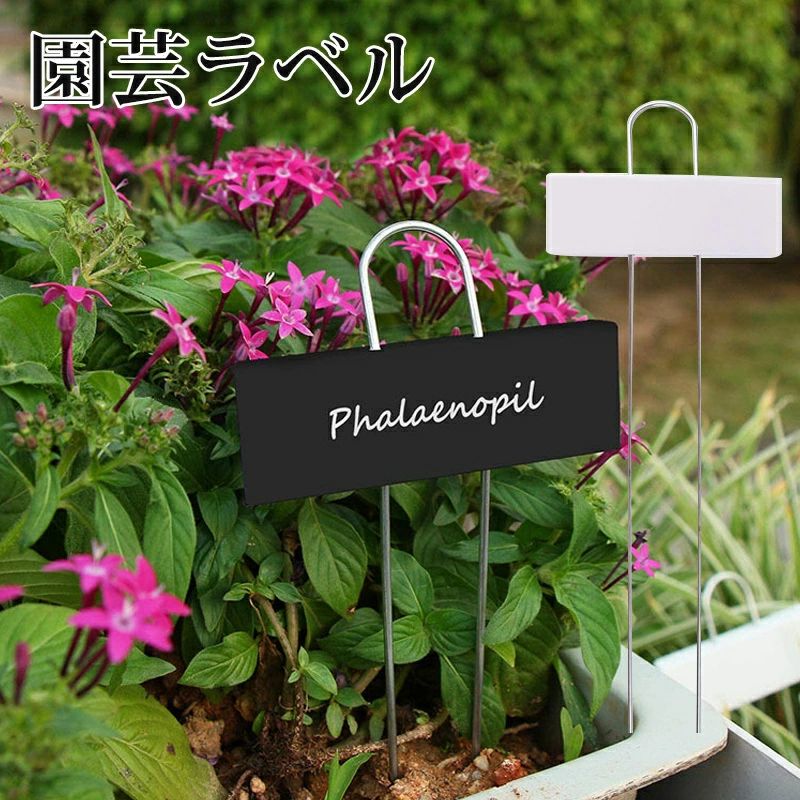 園芸用ラベル 名入れ 植物ラベル 鉄製 金属製 T型 防錆 プランツラベル ローズラベル 園芸ネームラベル プラントマーカー プランツタグ